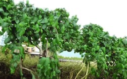 常州怀德学院今年录取分数线是多少？