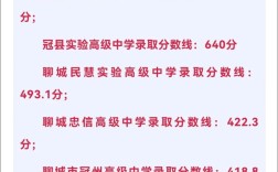 冠县中考高中录取分数线是多少？