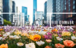 百花思维上海校区最新课程安排是？