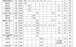 泸州实验高中多少分录取