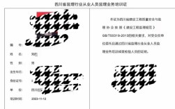 四川监理员报名条件有哪些具体要求？