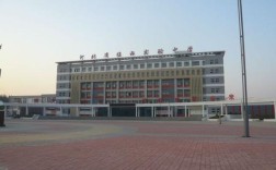 临西实验高中录取分数线是多少？