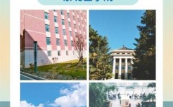 哪些高校设有东北亚学院？