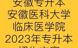 哪个学校的临床病理学专业实力更强？