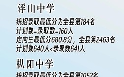 浮山学校要多少分录取