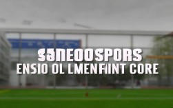 兰州体育录取线具体多少分？