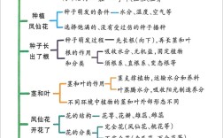 科学植物思维导图，如何高效构建知识体系？