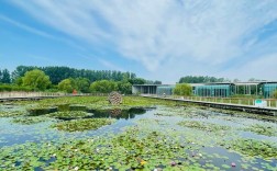 济宁旅游专业录取分数线是多少？