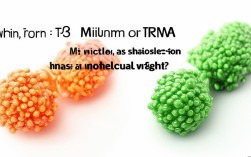 mRNA和tRNA分子量大小最新研究有新发现？