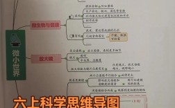 六上科学思维导图怎么画？