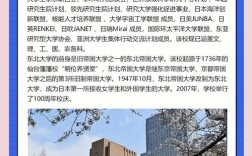 东北大学德语哪个好