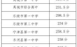 德州试验高中录取分数线是多少？