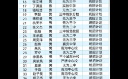 无为襄安录取多少分