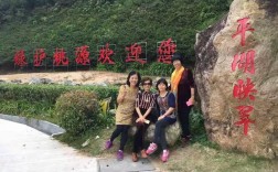 新会圭小今年录取了多少学生？