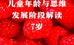 抽象思维怎么培养