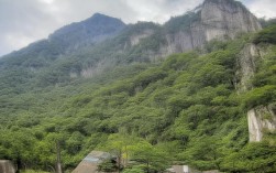 今年海军院校录取了多少女生？