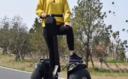 扬州思维平衡车专卖哪家好？