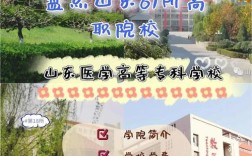 临沂医专录取分数线是多少？