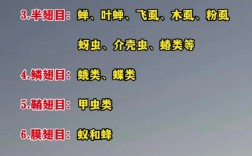 农业昆虫与害虫如何分类？