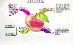 苹果理论思维，是创新方法论还是营销噱头？