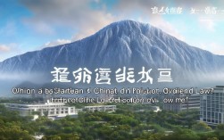 2025山大与中国政法怎么选？最新就业对比来了！