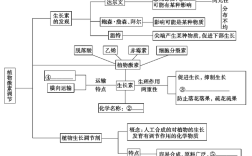 激素调节思维导图，核心要点有哪些？