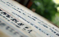 南昌十中高二录取分数线2024是多少？