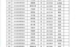 新华小学录取分数多少