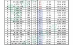 19年山东录取名次多少？