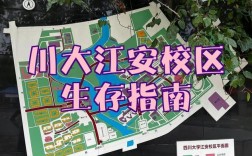 川大数学属于哪个学术流派？