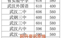 今年武汉高考录取线具体是多少？