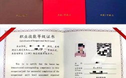 物流员证书报名条件有哪些？