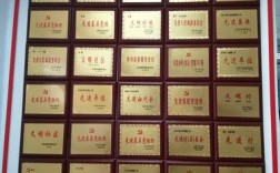 许昌乡村全科报名条件有哪些具体要求？