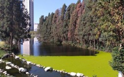 云南园林专业哪所学校实力强？