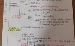 高中生物思维导图怎么用才高效？