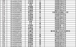 丰顺实验中学2025录取分数线多少？