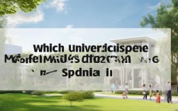 哪所大学开设西班牙语硕士专业？