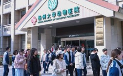 扬大兽医属于哪个系？