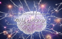 如何高效建立思维体系？