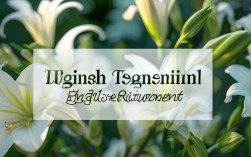 lily思维英语招聘靠谱吗？薪资待遇和工作环境怎么样？