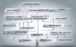 2025最新英语句型思维导图，学完真能秒变语法大神？
