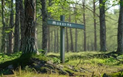 2025智慧林业录取分数线最新多少分？