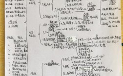 历史与社会思维导图如何构建知识体系？