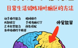 如何有效锻炼大脑思维？