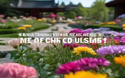 百花思维训练官网更新了哪些新内容？