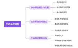 生态系统结构思维导图包含哪些核心要素？
