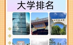 想学心理学报哪个学校