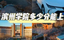 滨州学院要多少分录取