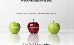 第3选择:解决所有难题的关键思维