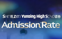 深圳云顶高中录取率具体是多少？